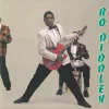 Cover von Bo Diddley