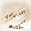 Cover von Sunlight (Armand Van Helden Remix)