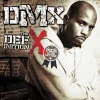 Cover von X Gon' Give It To Ya (Int'l Bonus track)