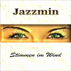 Cover von Stimmen Im Wind (Disco Fox Mix)