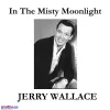 Cover von In The Misty Moonlight