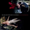 Cover von Where the Wild Roses Grow (Remastered 2011)