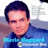 Cover von I'm a Lonesome Fugitive