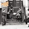 Cover von Do The Panic (Live at the House Of Blues, Chicago, IL - Dec, 2001)