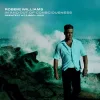 Cover von Rudebox (Clean Radio Edit)