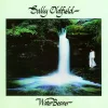 Cover von Mirrors