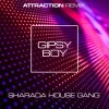 Cover von Gipsy Boy (Attraction Remix)