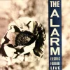 Cover von Rain in the Summertime (Live Remastered)