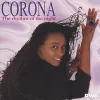 Cover von The Rhythm of the Night