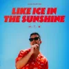 Cover von Like Ice In The Sunshine
