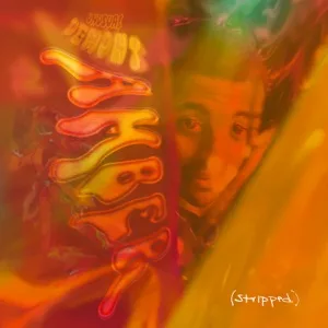 Cover von The Hits Remixed