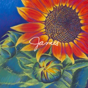 Cover von 1997 Singles & B-Sides