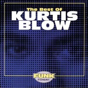 Cover von Block Party Flava - Hip Hop Back In The Days