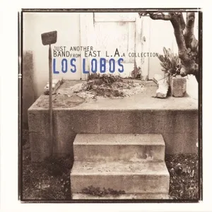 Cover von Live at The Metro, Cincinnati OH 10th December 1984