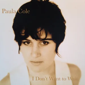 Cover von Where Have All The Cowboys Gone