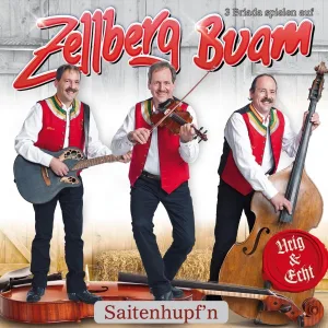 Cover von A Bärige Musi Aus Dem Zillertal