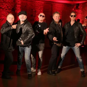 Cover von Flieger, grüß mir die Sonne