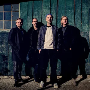 Cover von Ich fall in deine Arme