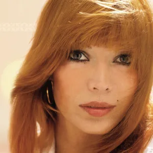 Cover von Wunder gibt es immer wieder