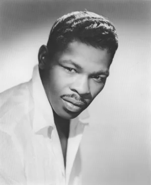 Cover von Rock 'n' Roll Stars on Stage (Live)