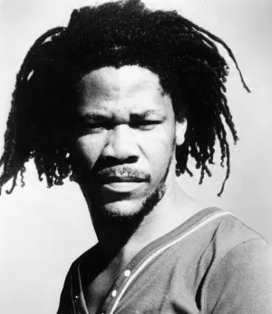 Cover von Back On Tracks