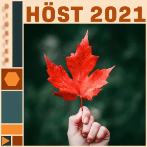 Cover von Höst 2021