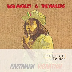 Cover von Roots, Rock, Reggae (Live At The Hammersmith Odeon, London, UK - June 1976)