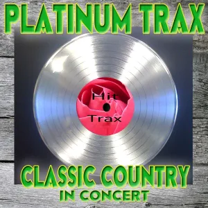 Cover von Platinum Trax 50 #1 Hits, One by One