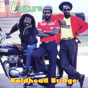 Cover von Baldhead Bridge
