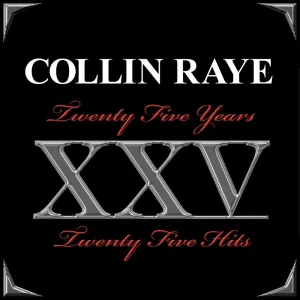 Cover von Twenty Five Years - Twenty Five Hits