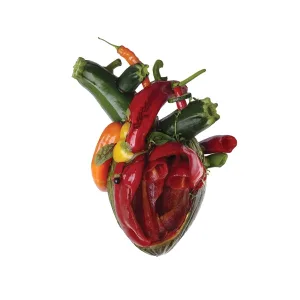 Cover von Torn Arteries