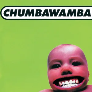 Cover von Tubthumper