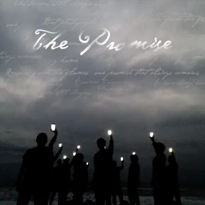 Cover von The Promise