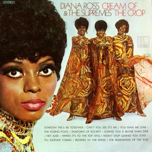 Cover von Someday We'll Be Together (Live On The Ed Sullivan Show, December 21, 1969)