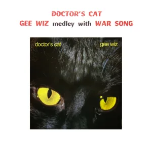 Cover von Gee Wiz