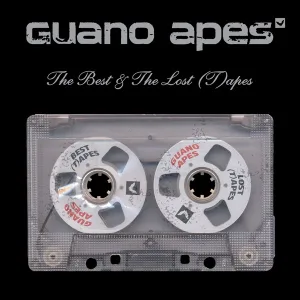 Cover von The Best and The Lost (T)apes