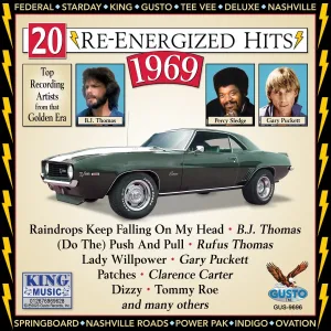 Cover von 20 Re-Energized Hits: 1969