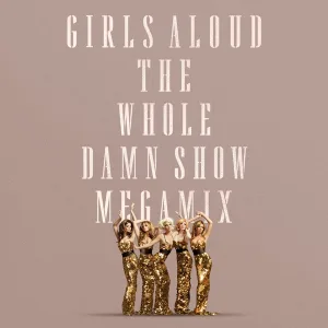 Cover von The Whole Damn Show Megamix