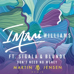 Cover von Don't Need No Money (Martin Jensen Remix) (feat. Sigala & Blonde)
