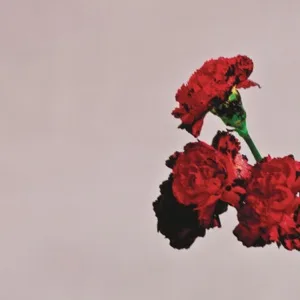 Cover von All of Me (Tiësto's Birthday Treatment Remix - Radio Edit)