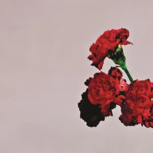 Cover von Sing Me to Sleep