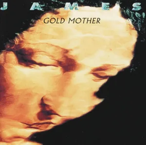Cover von Gold Mother