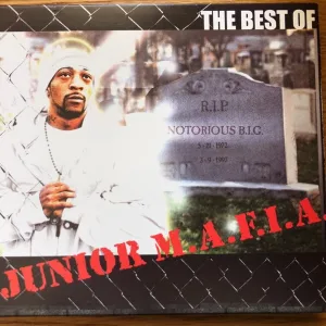 Cover von The Best of JUNIOR M.A.F.I.A.