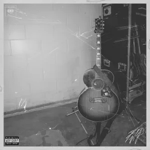 Cover von Live from the Damn Near Normal Tour