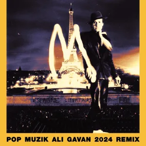 Cover von Pop Muzik (The Remix Album)