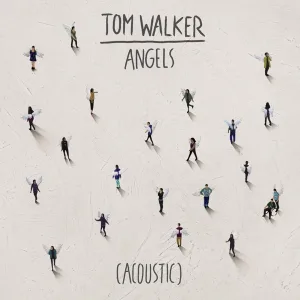 Cover von Acoustic Angels
