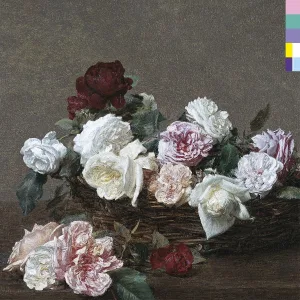 Cover von The Best of New Order