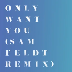 Cover von Only Want You (Sam Feldt Remix)