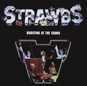 Cover von Bursting At The Seam