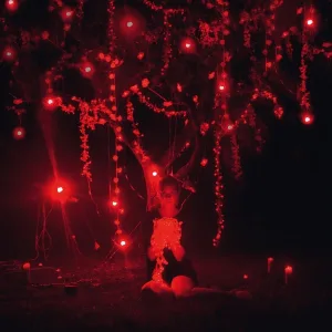 Cover von The Danger of Light (Deluxe Edition)